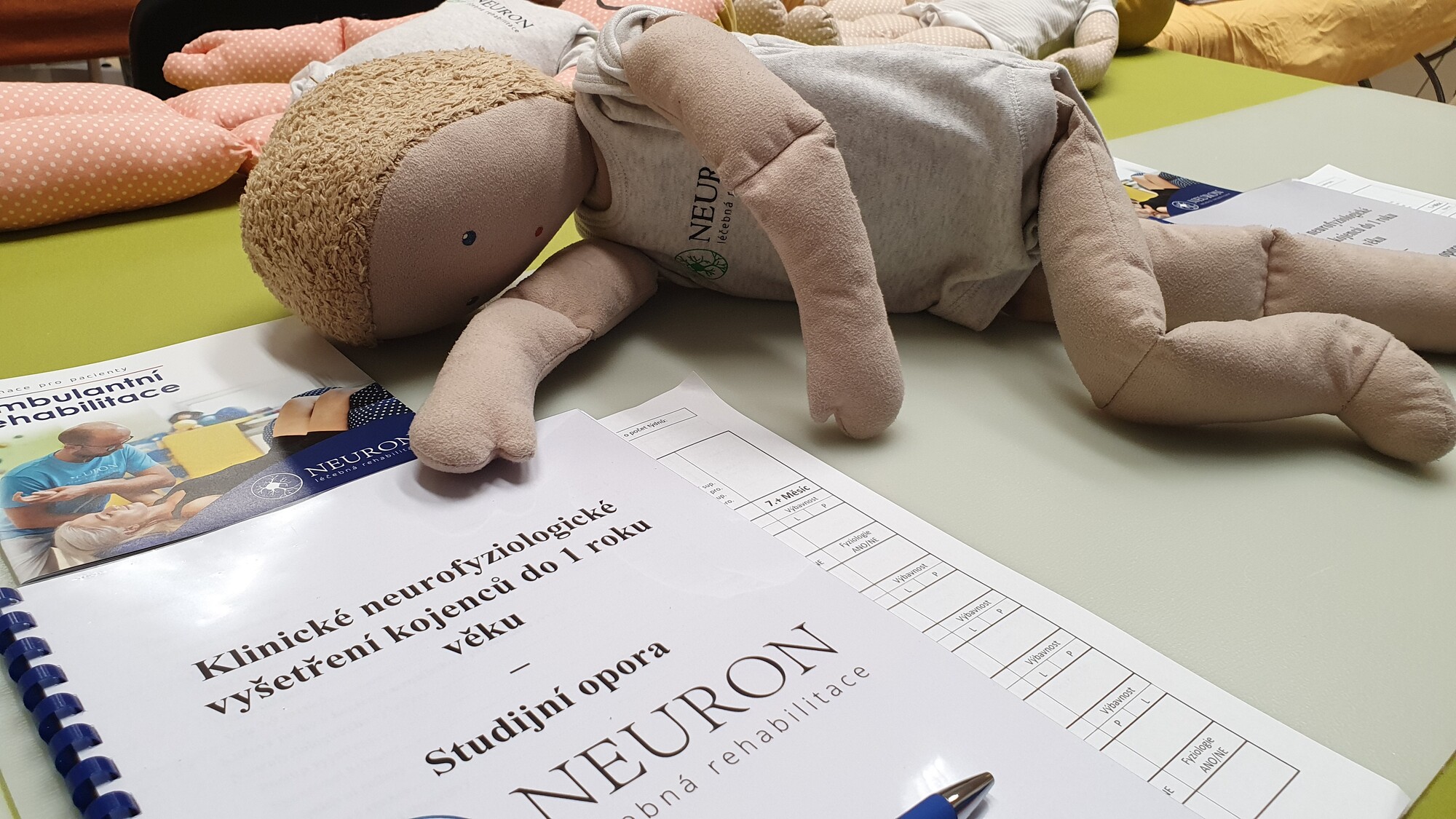 Diagnosticko terapeutický koncept IREN